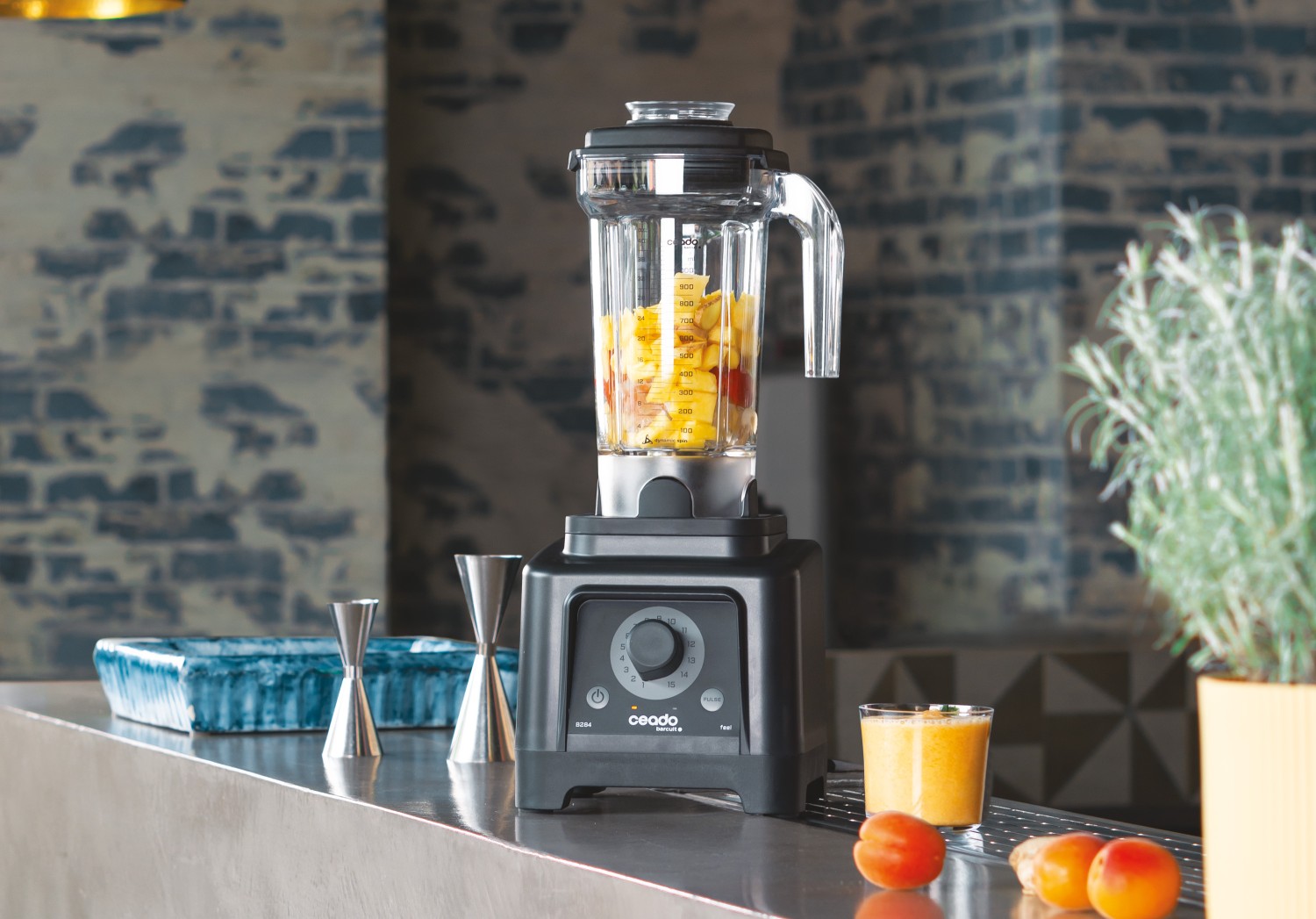 Feel! The new B284 blender